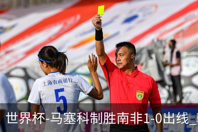世界杯-马塞科制胜南非1-0出线 韩国积3分获小组第三待定