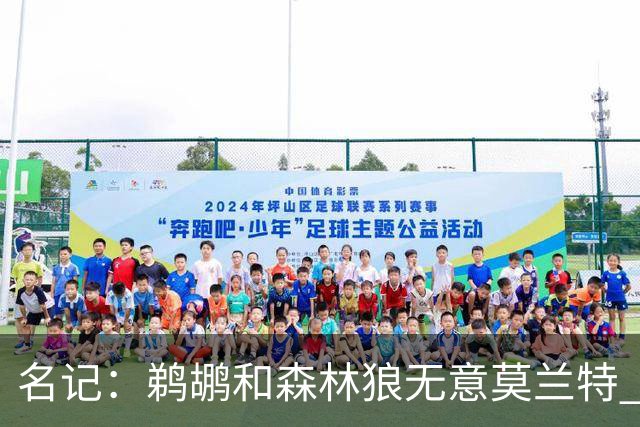 名记：鹈鹕&森林狼无意莫兰特 热火也不急于尝试其与字母哥的搭档